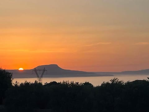 Region [summer] (>5 km)