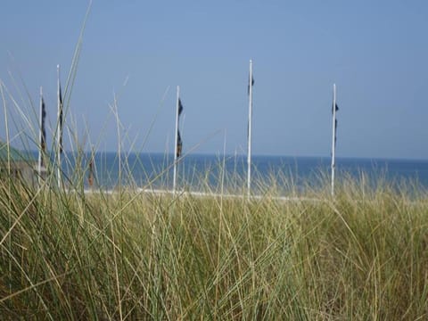 Region [summer] (>5 km)