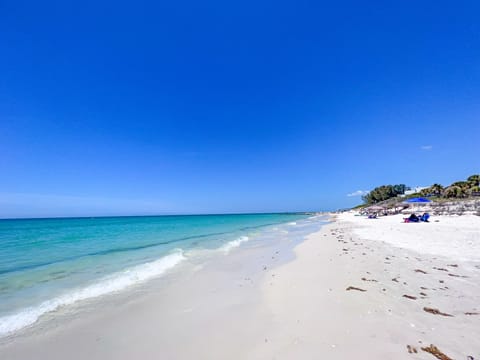 On the beach