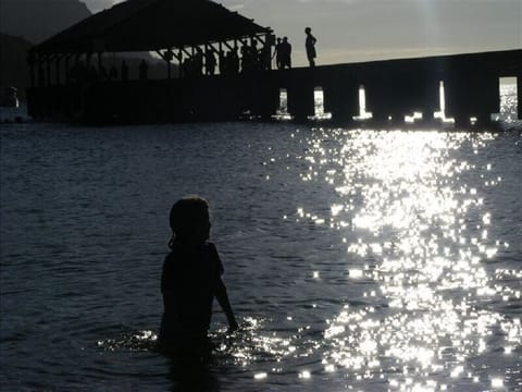 Hanalei Bay Pier