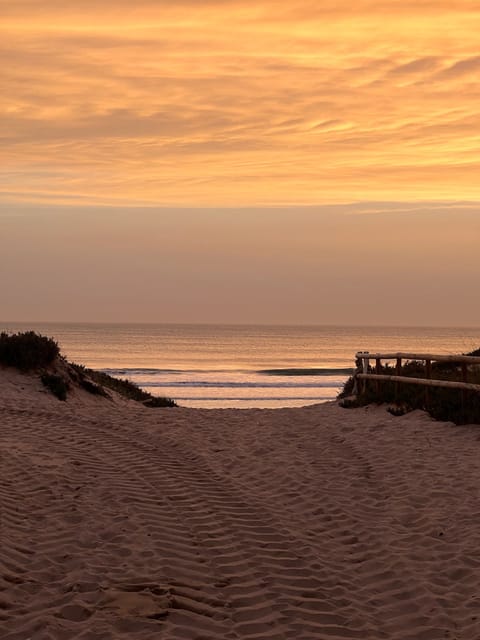 On the beach, sun loungers, beach towels