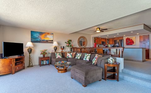 livingroom open to kitchen