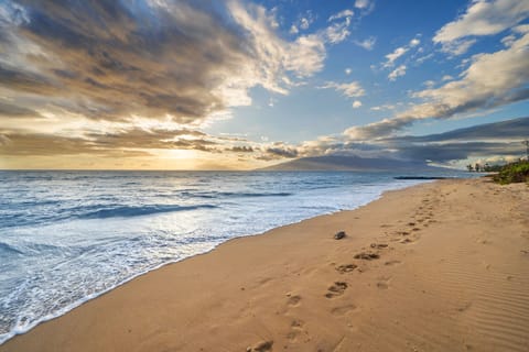 On the beach