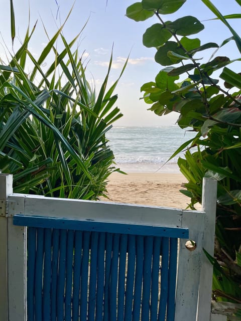 On the beach, sun loungers, beach towels