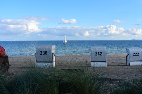 Beach nearby, sun loungers