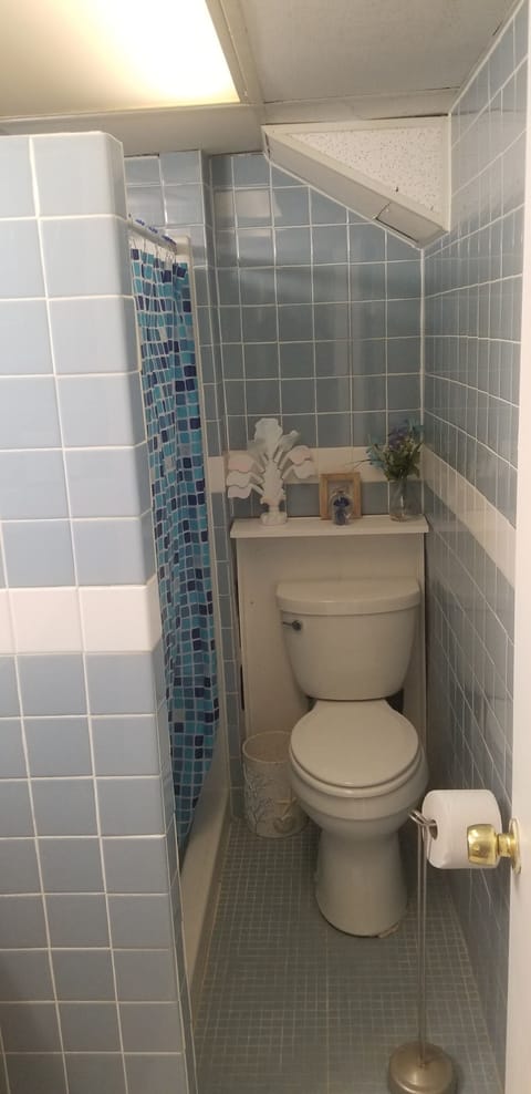 bathroom with shower travel soap and shampoo included 