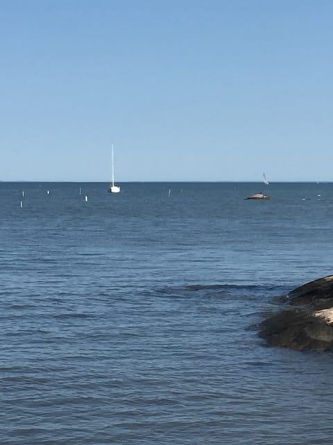 Sun loungers, beach towels