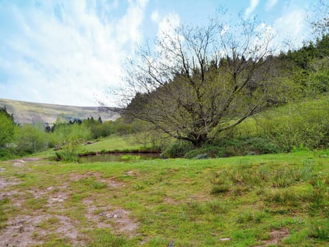 Garden and grounds | Mountain View, Cwmyoy, near Abergavenny
