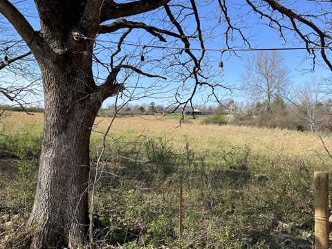Peaceful view from back porch. Sometimes donkeys come to visit