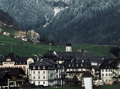 Plant, Mountain, Building, Highland, House, Grass, Tree, Natural Landscape, Landscape, Rural Area