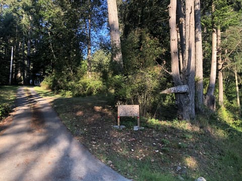 Driveway into property off Sturdies Bay Road