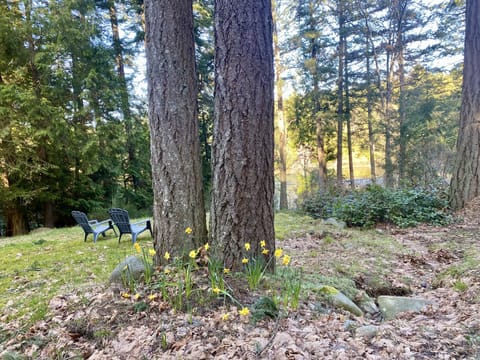 View from lawn to Whaler Bay