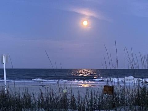 Beach nearby, sun loungers, beach towels