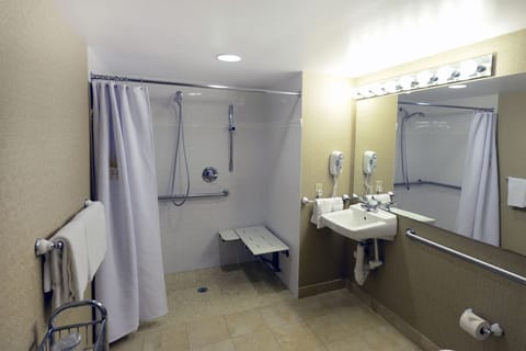 Combined shower/tub, hair dryer, towels