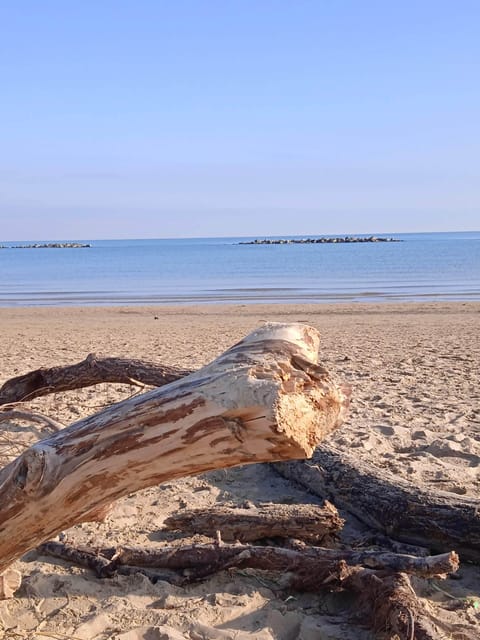 Beach nearby, beach towels