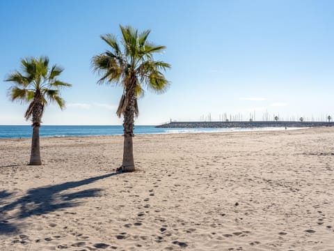 On the beach