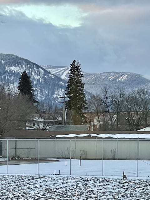 Schweitzer runs view from bedroom