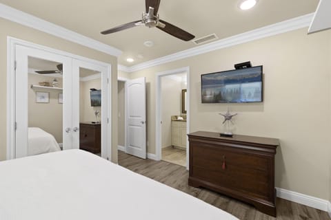 Downstairs Master bed with attached bathroom, mirrored closet, TV, Cieling fan