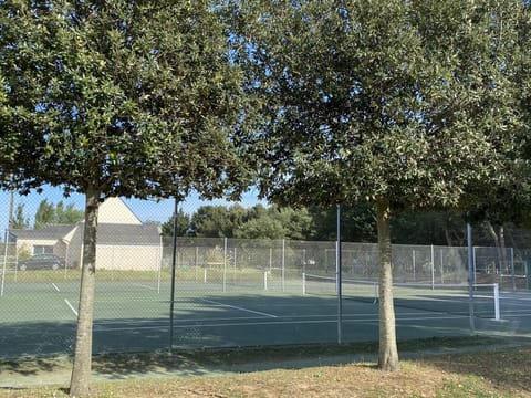 Sport court