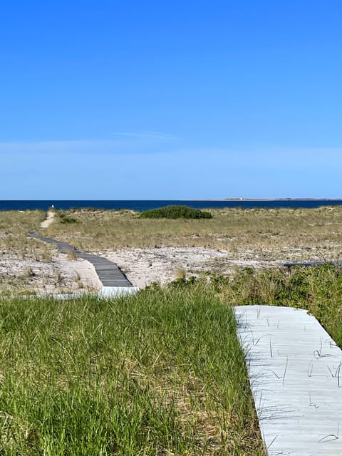 Beach | On the beach