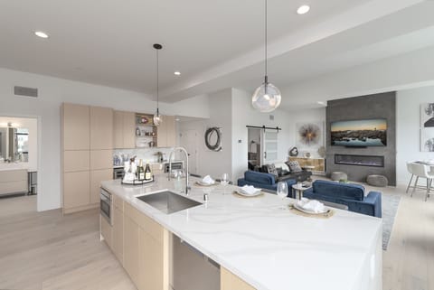 Fully Equipped Gourmet Kitchen