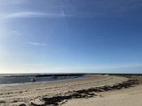 On the beach