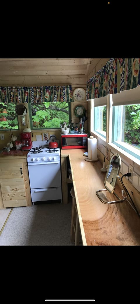 Private kitchen | Oven, stovetop