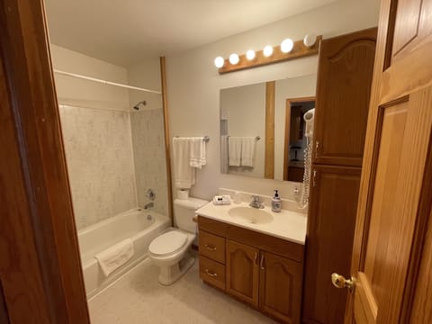 Combined shower/tub, jetted tub, hair dryer, towels