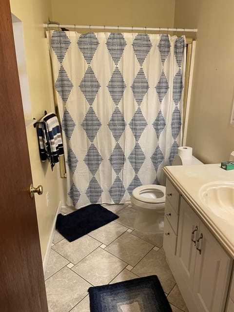 Combined shower/tub, towels, soap, toilet paper