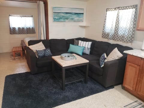 Comfy sectional couch to watch TV and relax