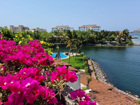 Partial view of 1 of 3 Isla Alegre pools and Marina