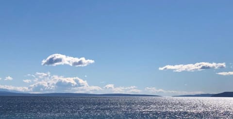 Region [summer] (>5 km)