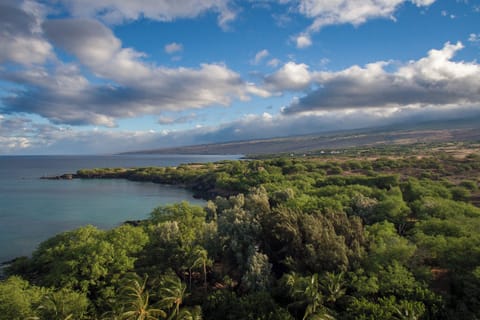 Scenic coastline with calm, clear waters and lush greenery—an ideal spot for peaceful nature walks and ocean views.