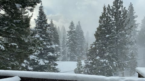 Wonderful winter views