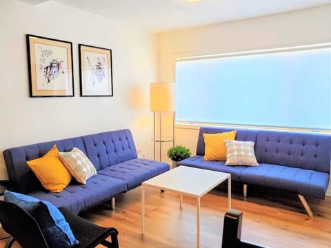 Living Room with 2 sofa beds