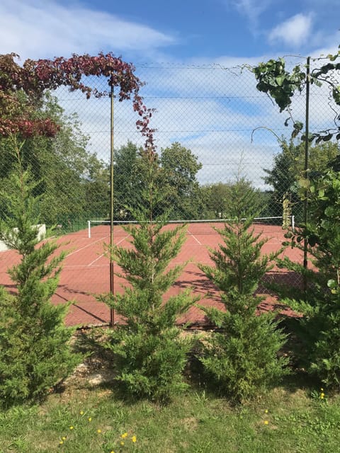 Sport court