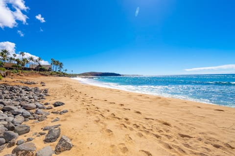 On the beach