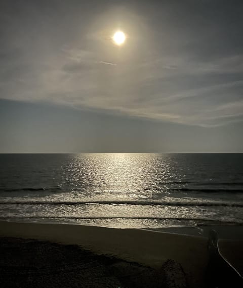 On the beach