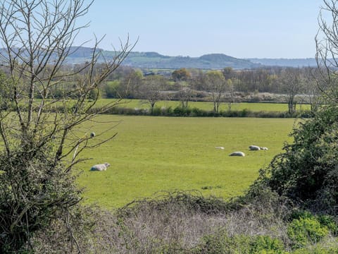 View | Rathlin Cottage, Cambridge, near Lower Cam