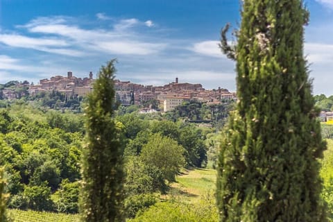 View of Montepulciano and Vineyards