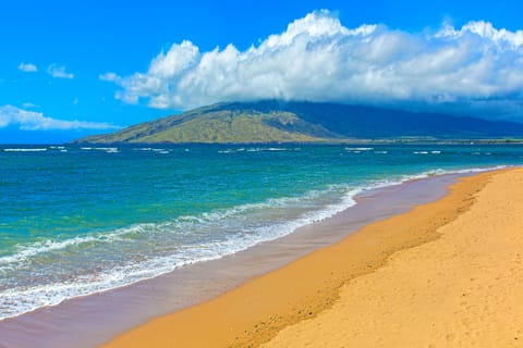 On the beach