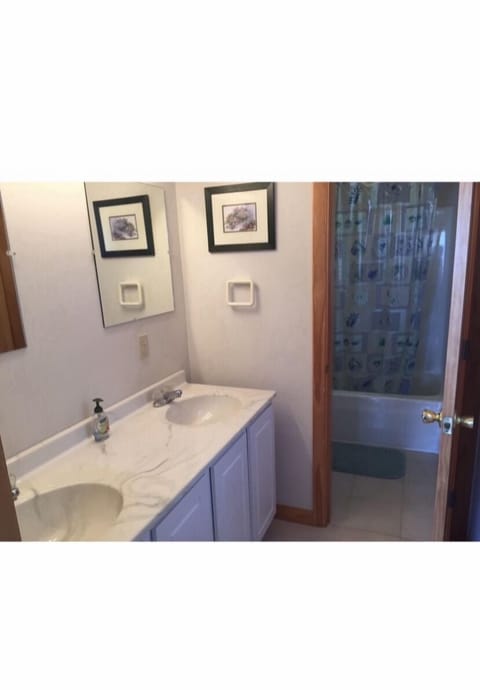 Master Bath, tub/shower . Door divides double sink area from shower and toilet. 