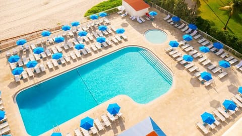 Indoor pool, a heated pool, sun loungers