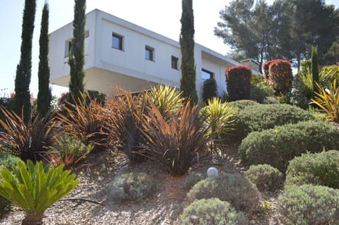 Contemporary design villa