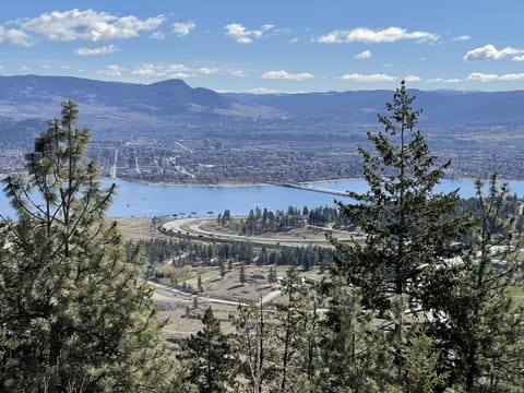 View of the Okanagan lake and the city water front park from the patio.