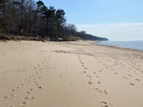 Beach | Beach nearby, sun loungers, beach towels