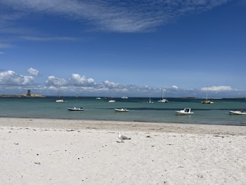 On the beach