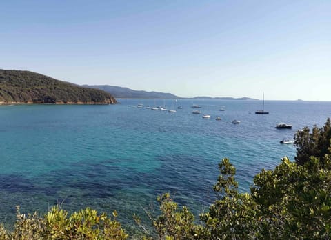 Water, Sky, Plant, Boat, Nature, Azure, Natural Landscape, Watercraft, Coastal And Oceanic Landforms, Lake