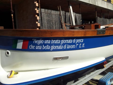 Town/city in general