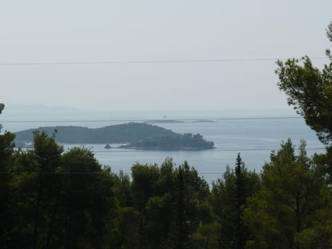 View from the window